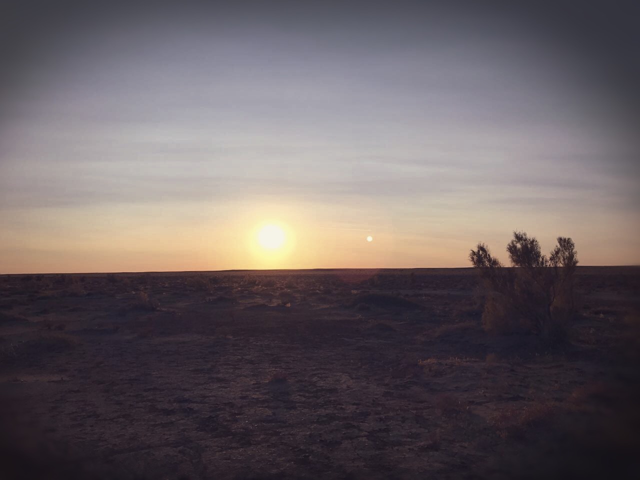 Gobi